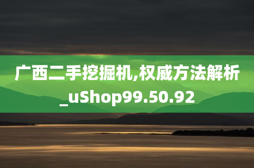 广西二手挖掘机,权威方法解析_uShop99.50.92