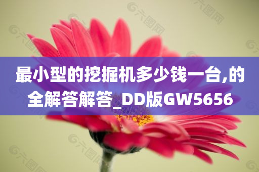 最小型的挖掘机多少钱一台,的全解答解答_DD版GW5656