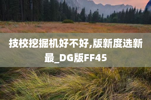 技校挖掘机好不好,版新度选新最_DG版FF45