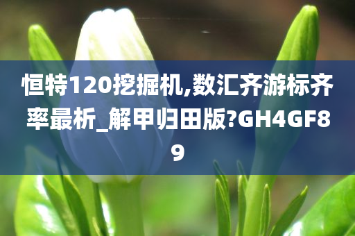 恒特120挖掘机,数汇齐游标齐率最析_解甲归田版?GH4GF89