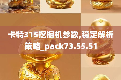 卡特315挖掘机参数,稳定解析策略_pack73.55.51