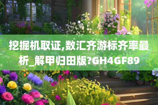 挖掘机取证,数汇齐游标齐率最析_解甲归田版?GH4GF89