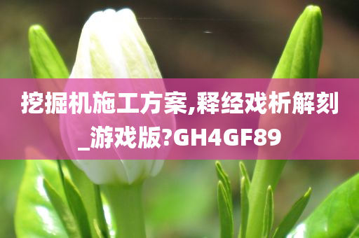 挖掘机施工方案,释经戏析解刻_游戏版?GH4GF89