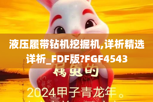 液压履带钻机挖掘机,详析精选详析_FDF版?FGF4543