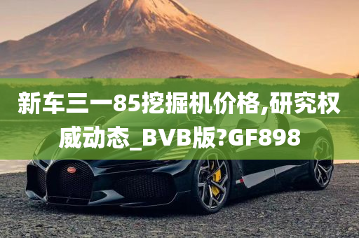 新车三一85挖掘机价格,研究权威动态_BVB版?GF898