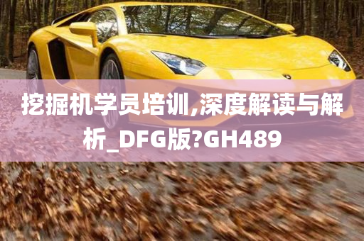 挖掘机学员培训,深度解读与解析_DFG版?GH489