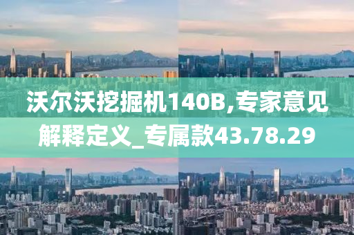 沃尔沃挖掘机140B,专家意见解释定义_专属款43.78.29