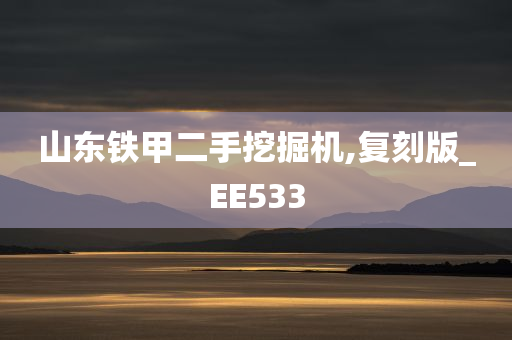 山东铁甲二手挖掘机,复刻版_EE533