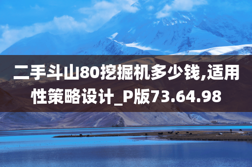 二手斗山80挖掘机多少钱,适用性策略设计_P版73.64.98