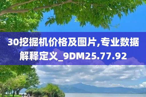 30挖掘机价格及图片,专业数据解释定义_9DM25.77.92