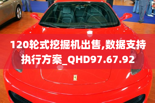 120轮式挖掘机出售,数据支持执行方案_QHD97.67.92