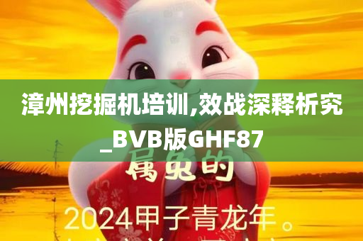 漳州挖掘机培训,效战深释析究_BVB版GHF87