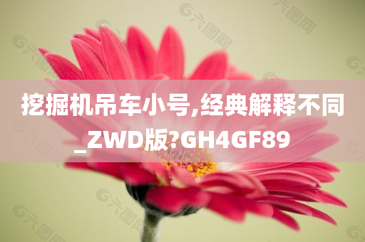 挖掘机吊车小号,经典解释不同_ZWD版?GH4GF89