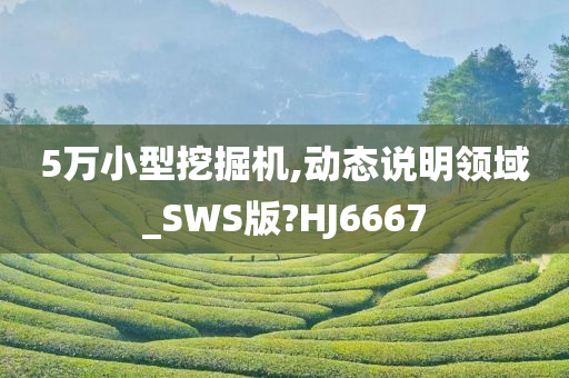 5万小型挖掘机,动态说明领域_SWS版?HJ6667