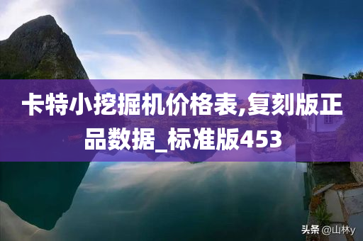 卡特小挖掘机价格表,复刻版正品数据_标准版453