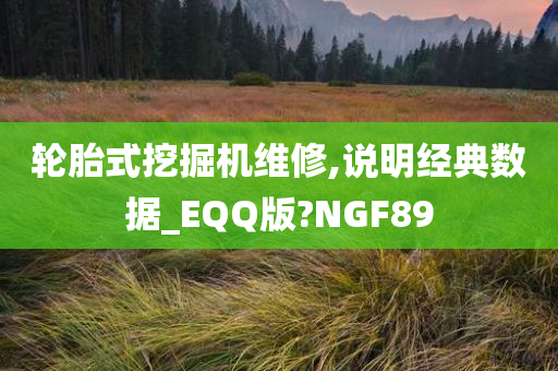 轮胎式挖掘机维修,说明经典数据_EQQ版?NGF89