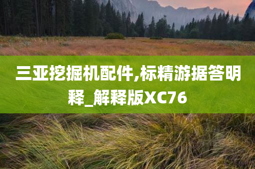 三亚挖掘机配件,标精游据答明释_解释版XC76