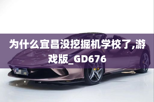 为什么宜昌没挖掘机学校了,游戏版_GD676