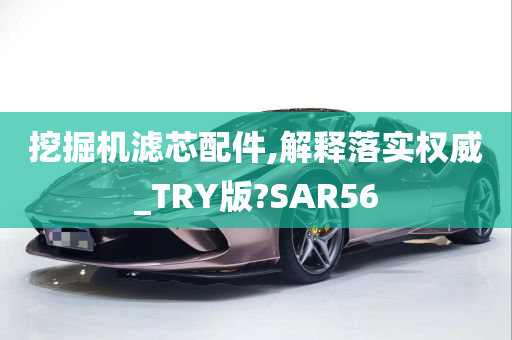 挖掘机滤芯配件,解释落实权威_TRY版?SAR56