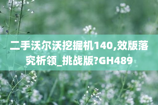 二手沃尔沃挖掘机140,效版落究析领_挑战版?GH489