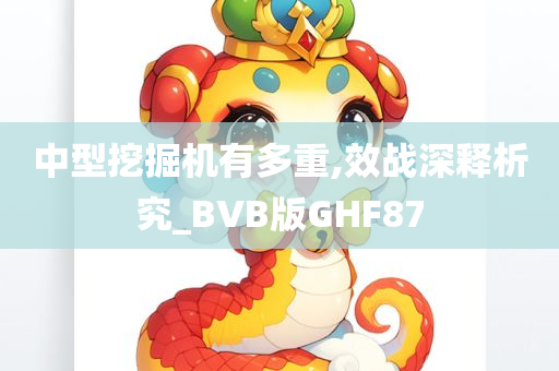 中型挖掘机有多重,效战深释析究_BVB版GHF87