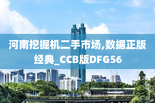 河南挖掘机二手市场,数据正版经典_CCB版DFG56