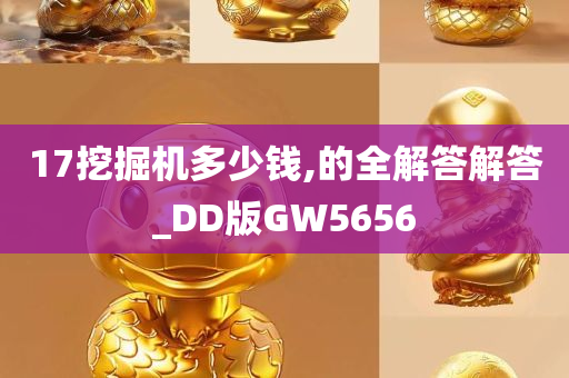 17挖掘机多少钱,的全解答解答_DD版GW5656