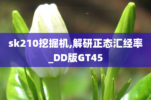 sk210挖掘机,解研正态汇经率_DD版GT45