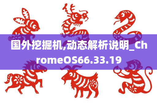 国外挖掘机,动态解析说明_ChromeOS66.33.19