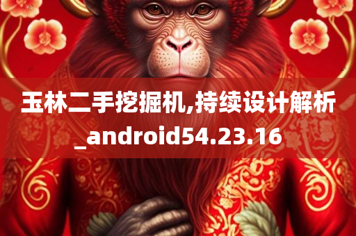 玉林二手挖掘机,持续设计解析_android54.23.16