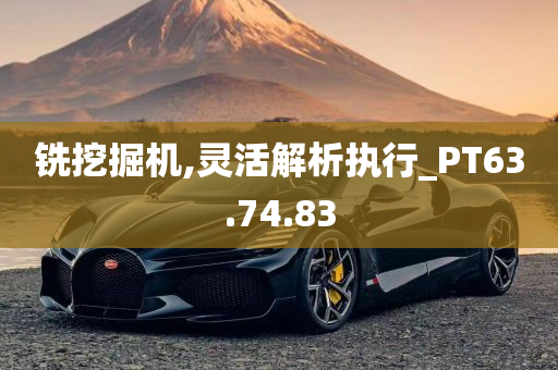 铣挖掘机,灵活解析执行_PT63.74.83