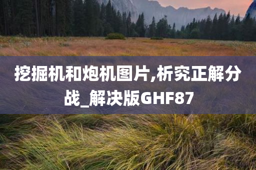 挖掘机和炮机图片,析究正解分战_解决版GHF87