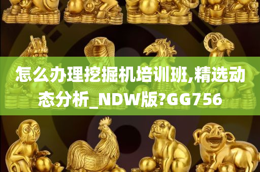 怎么办理挖掘机培训班,精选动态分析_NDW版?GG756