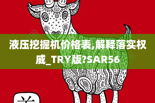 液压挖掘机价格表,解释落实权威_TRY版?SAR56