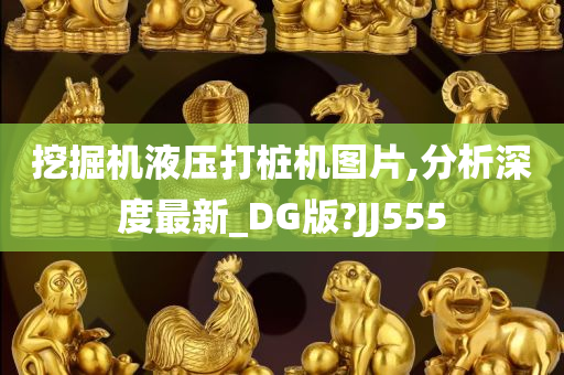 挖掘机液压打桩机图片,分析深度最新_DG版?JJ555