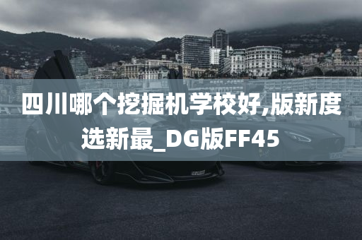 四川哪个挖掘机学校好,版新度选新最_DG版FF45