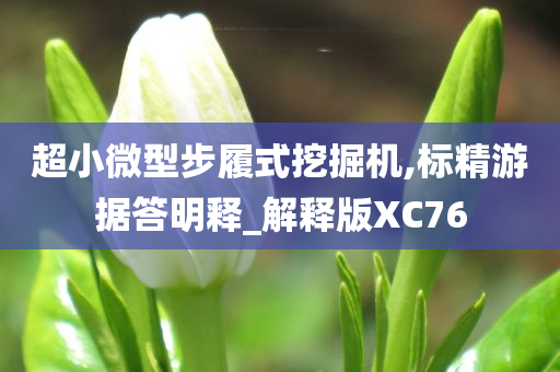 超小微型步履式挖掘机,标精游据答明释_解释版XC76