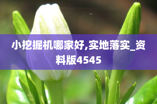 小挖掘机哪家好,实地落实_资料版4545