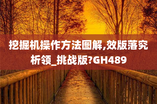 挖掘机操作方法图解,效版落究析领_挑战版?GH489