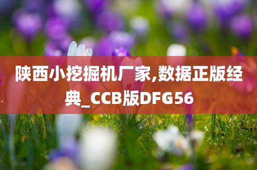 陕西小挖掘机厂家,数据正版经典_CCB版DFG56