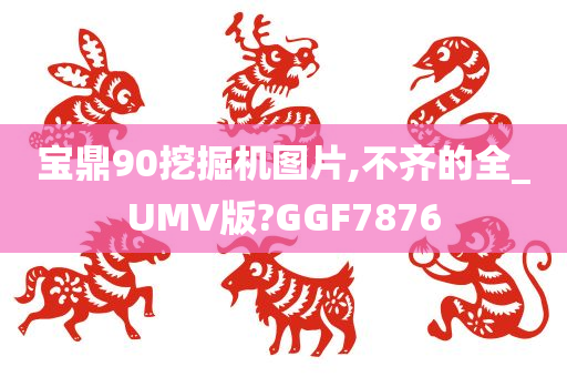 宝鼎90挖掘机图片,不齐的全_UMV版?GGF7876