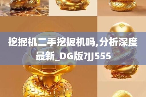 挖掘机二手挖掘机吗,分析深度最新_DG版?JJ555