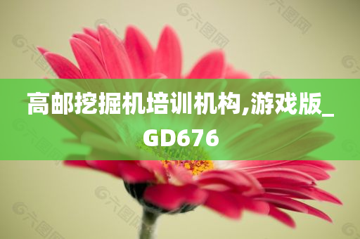 高邮挖掘机培训机构,游戏版_GD676