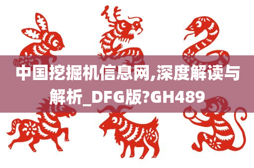 中国挖掘机信息网,深度解读与解析_DFG版?GH489