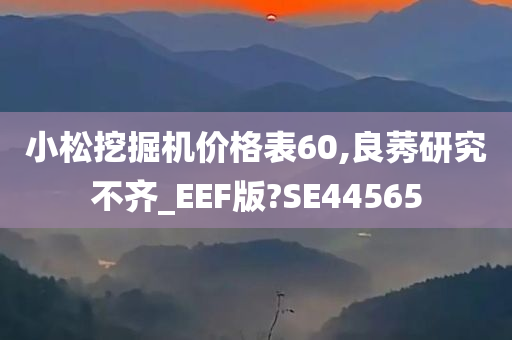 小松挖掘机价格表60,良莠研究不齐_EEF版?SE44565