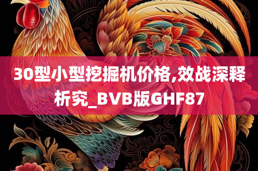 30型小型挖掘机价格,效战深释析究_BVB版GHF87