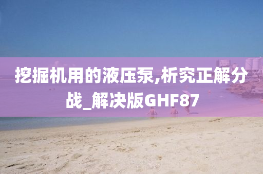 挖掘机用的液压泵,析究正解分战_解决版GHF87