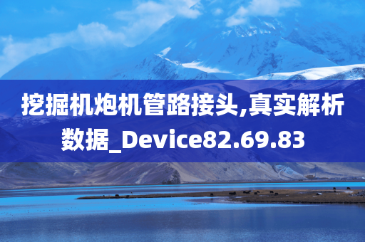 挖掘机炮机管路接头,真实解析数据_Device82.69.83