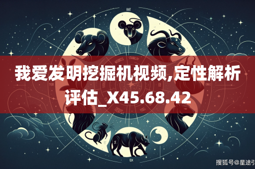 我爱发明挖掘机视频,定性解析评估_X45.68.42