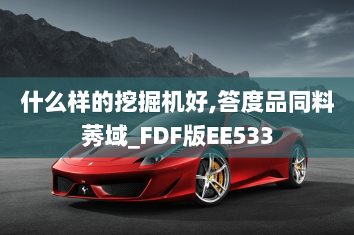 什么样的挖掘机好,答度品同料莠域_FDF版EE533